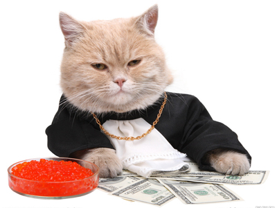 1467354474126201.jpg 猫猫1.jpg