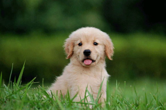 1495529789458618.gif cvxbhbbbbbbbbbbbbbb.gif