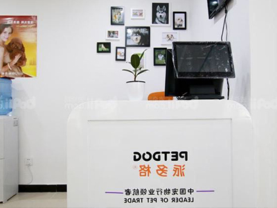 有实力的宠物品牌 有实力的宠物品牌