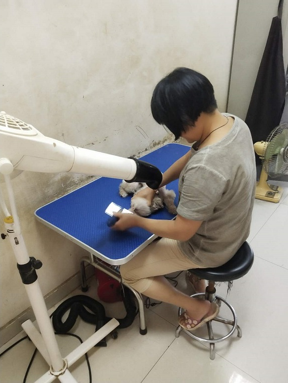 1536913226728911.jpg 微信图片_20180810174653.jpg