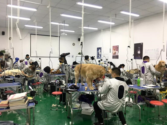 1543461115525955.jpg 微信图片_20181129105559.jpg
