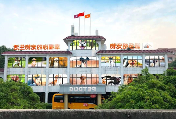 1543804930568869.jpg 微信图片_20181203103356.jpg