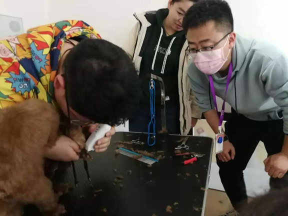 1557828220450343.jpg 微信图片_20190514175322.jpg
