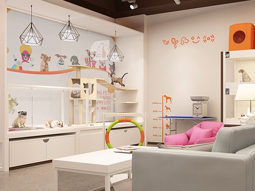 如何开一家好的宠物店? 如何开一家好的宠物店?