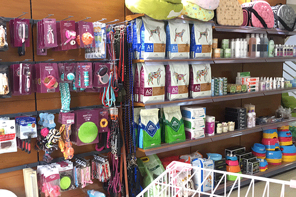 开宠物店学起来,宠物店加盟优势在哪里? 开宠物店学起来,宠物店加盟优势在哪里?