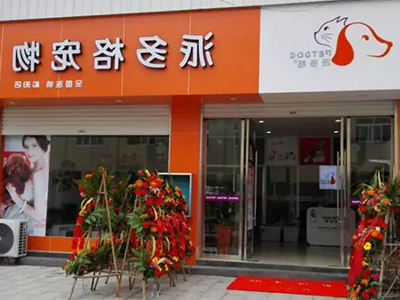新手开宠物店会遇到的问题有哪些? 新手开宠物店会遇到的问题有哪些?